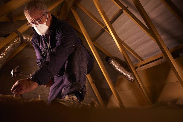 Best Commercial Insulation in Home Gardens, CA